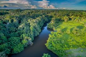 Amazônia se torna palco global da transição energética com eventos estratégicos em 2025