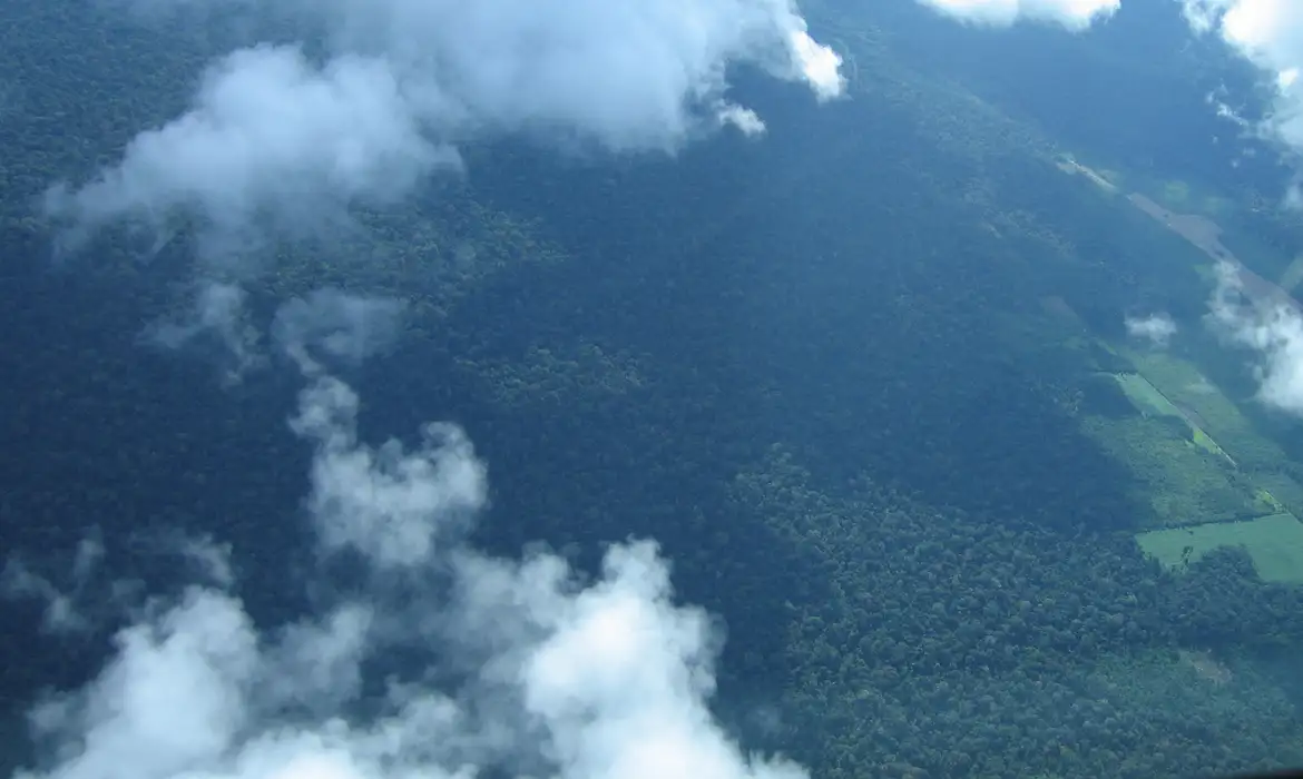 Petrobras destina R$ 450 milhões para preservar a Amazônia com créditos de carbono